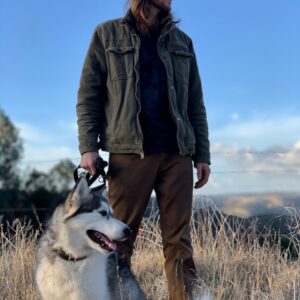 husky puppy buy online